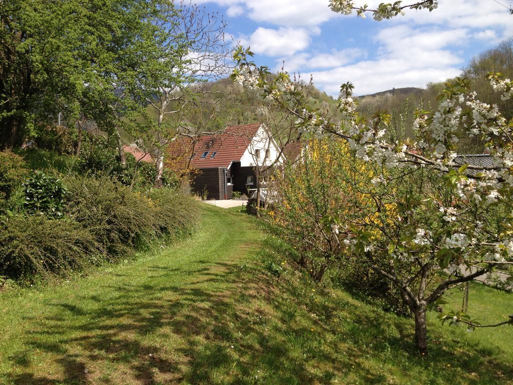 Gite Bellevue Breitenbach ห้อง รูปภาพ