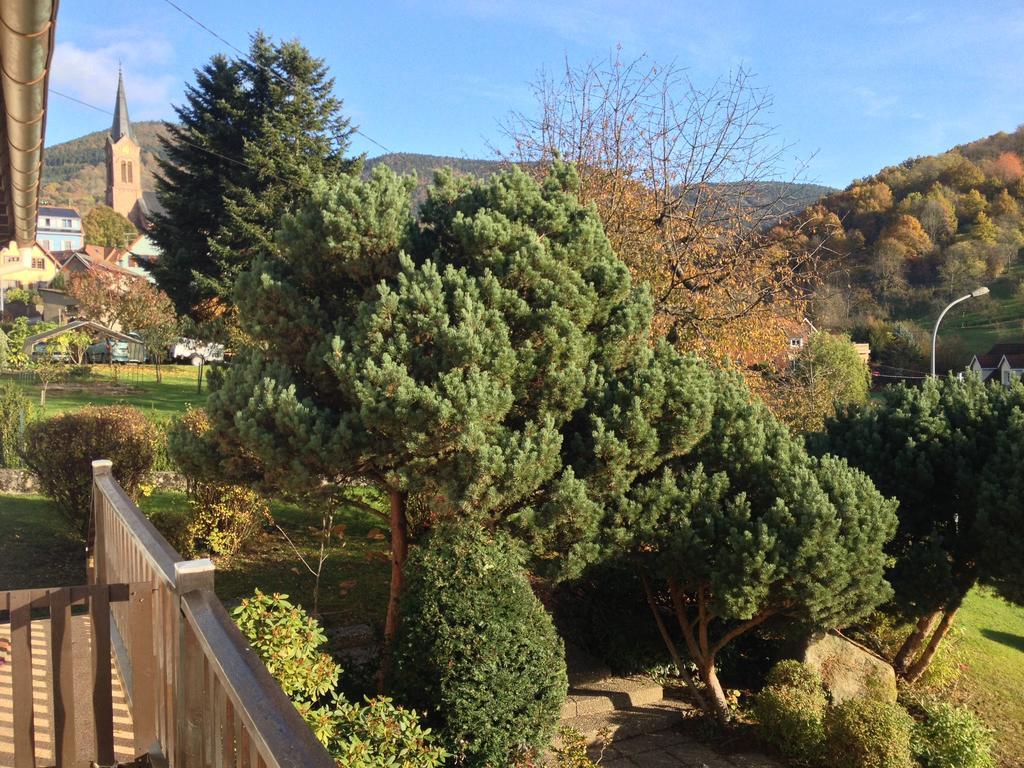 Gite Bellevue Breitenbach ภายนอก รูปภาพ