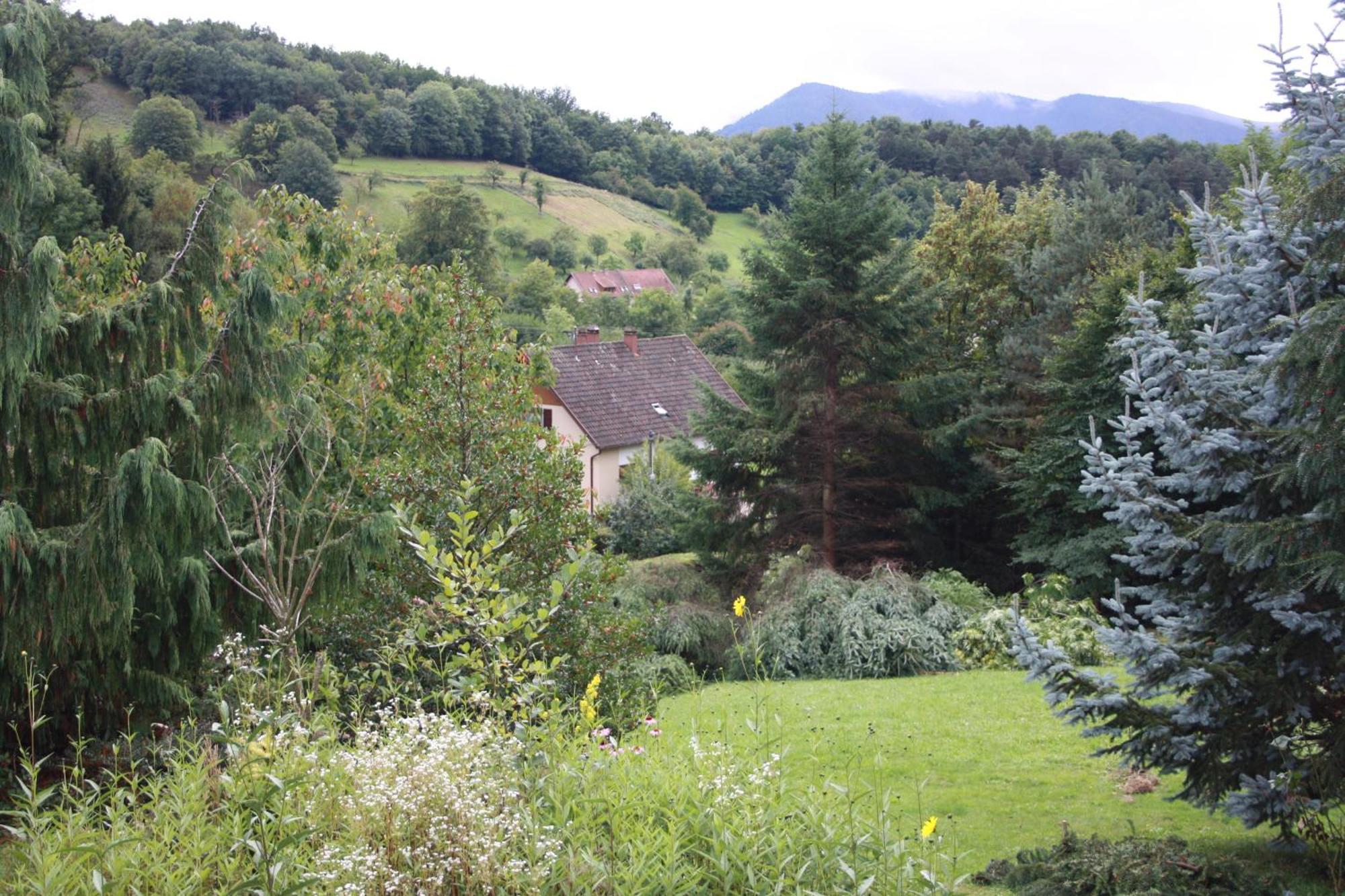 Gite Bellevue Breitenbach ภายนอก รูปภาพ
