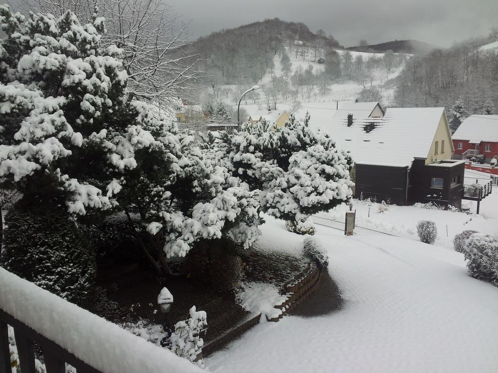 Gite Bellevue Breitenbach ห้อง รูปภาพ