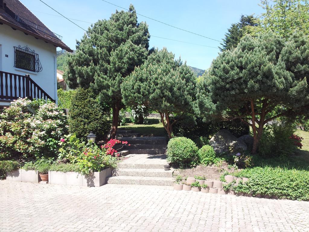 Gite Bellevue Breitenbach ภายนอก รูปภาพ